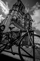 IMG_3842