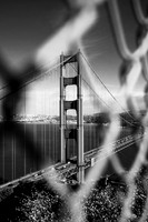 IMG_3844